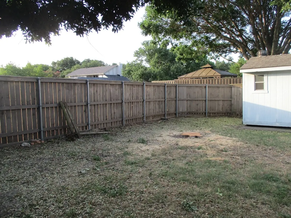Cleared yard after professional tree removal in Gallaway